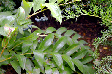 Similar image 22315089