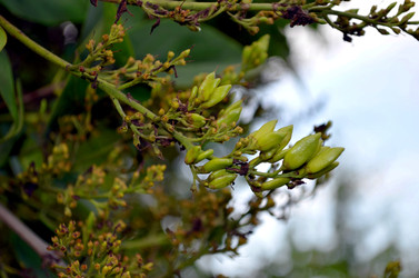 Similar image 22315091