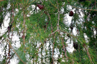 Similar image 22315092