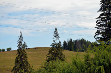 Similar image 22315093