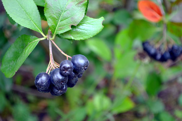 Similar image 22315094