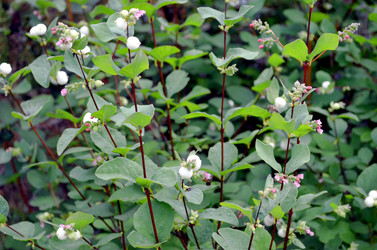 Similar image 22315095