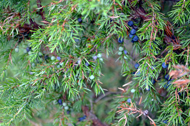 Similar image 22315096