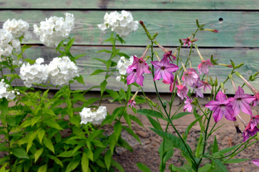 Similar image 22315098