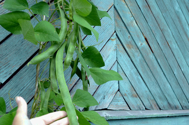 Similar image 22315100