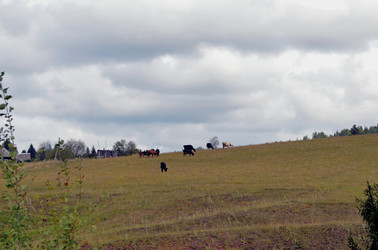 Similar image 22315101