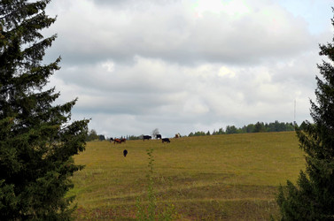 Similar image 22315102