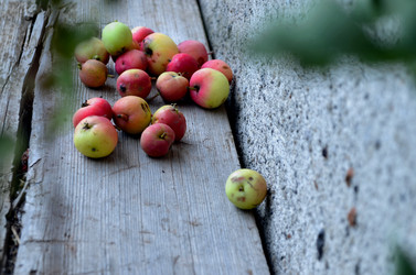 Similar image 22315104