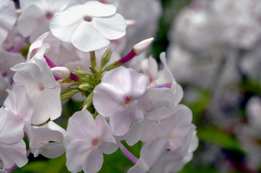 Similar image 22315105