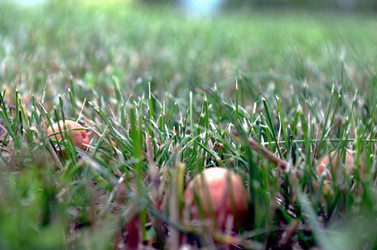 Similar image 22315106