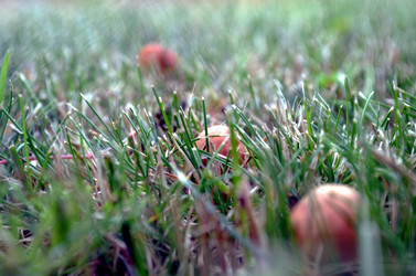 Similar image 22315107