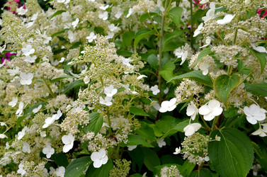 Similar image 22315108