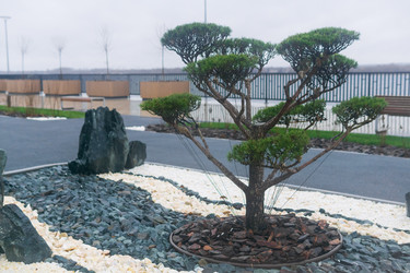 Similar image 22314788