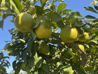 Similar image 22312006