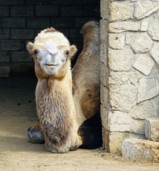 Similar image 22314963