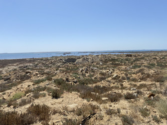 Similar image 22312054