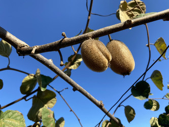 Similar image 22312057