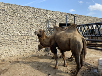 Similar image 22314965