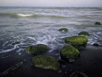 Similar image 22312065