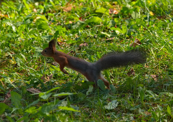 Similar image 22316964