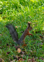 Similar image 22316966