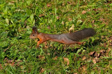 Similar image 22316968