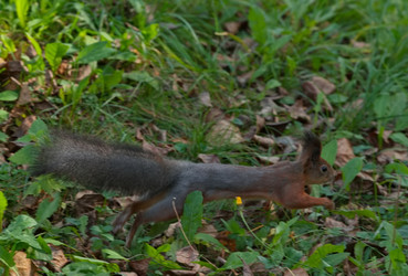 Similar image 22316969