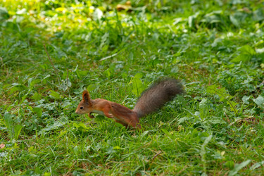 Similar image 22316970