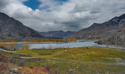 Similar image 22316973