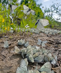 Similar image 22316980