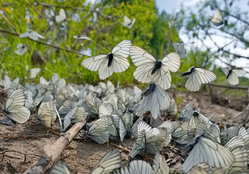 Similar image 22316982