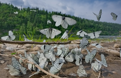 Similar image 22316983