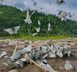 Similar image 22316984