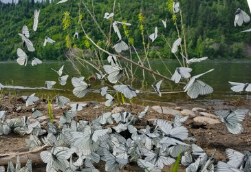 Similar image 22316985