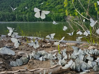 Similar image 22316986