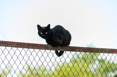 Similar image 22315437