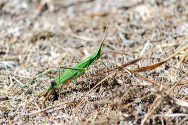 Similar image 22315456