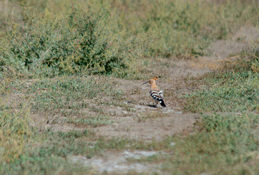 Similar image 22315460