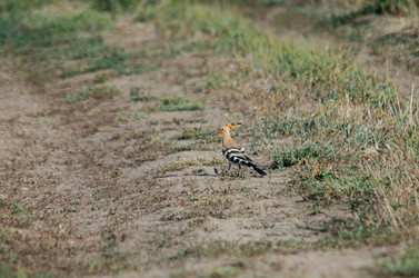 Similar image 22315461