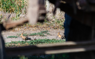 Similar image 22315462