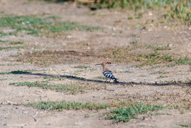 Similar image 22315463