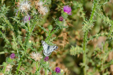 Similar image 22315466