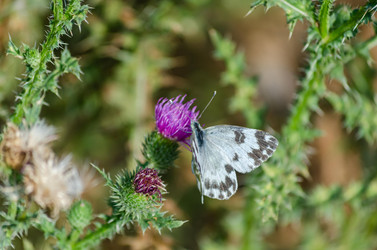 Similar image 22315467