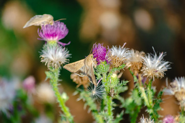 Similar image 22315470