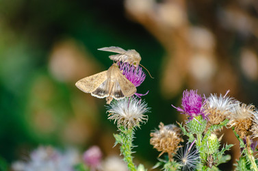 Similar image 22315471