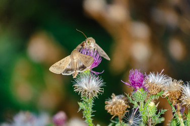 Similar image 22315473