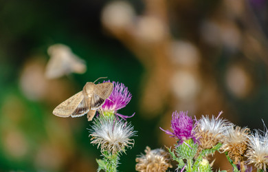 Similar image 22315474