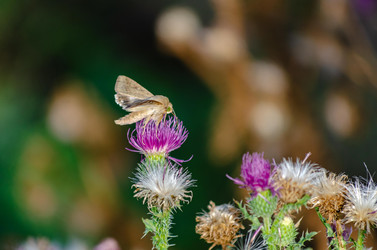 Similar image 22315475