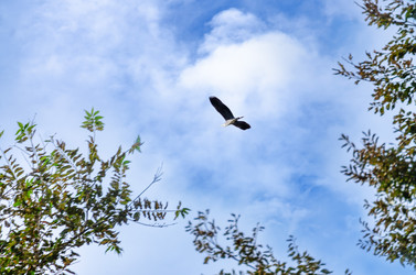 Similar image 22315476