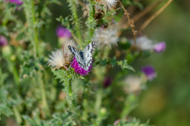 Similar image 22315477